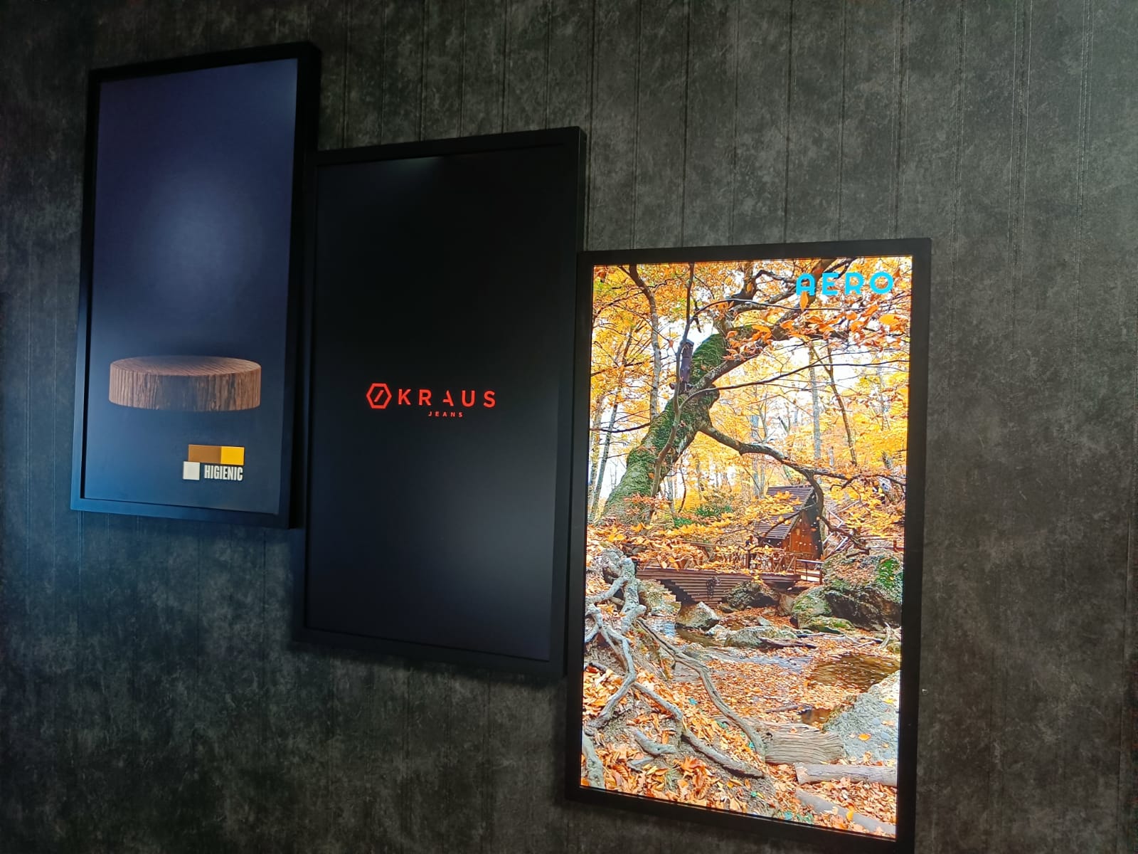 smart frames